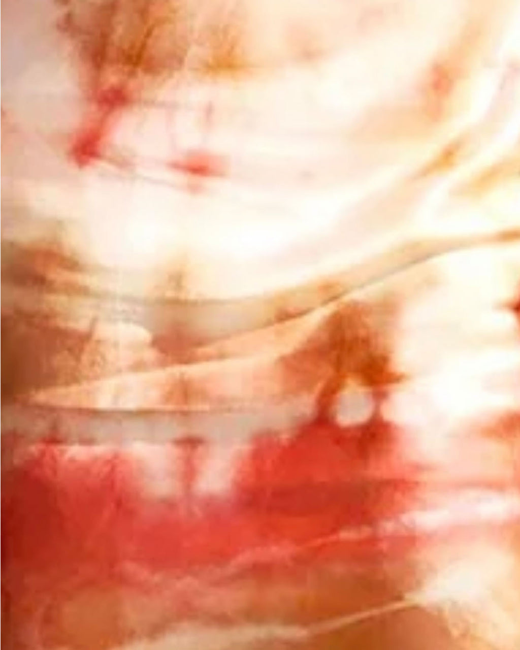 The Lindbergh Silk Dress in Coral Watercolour Print