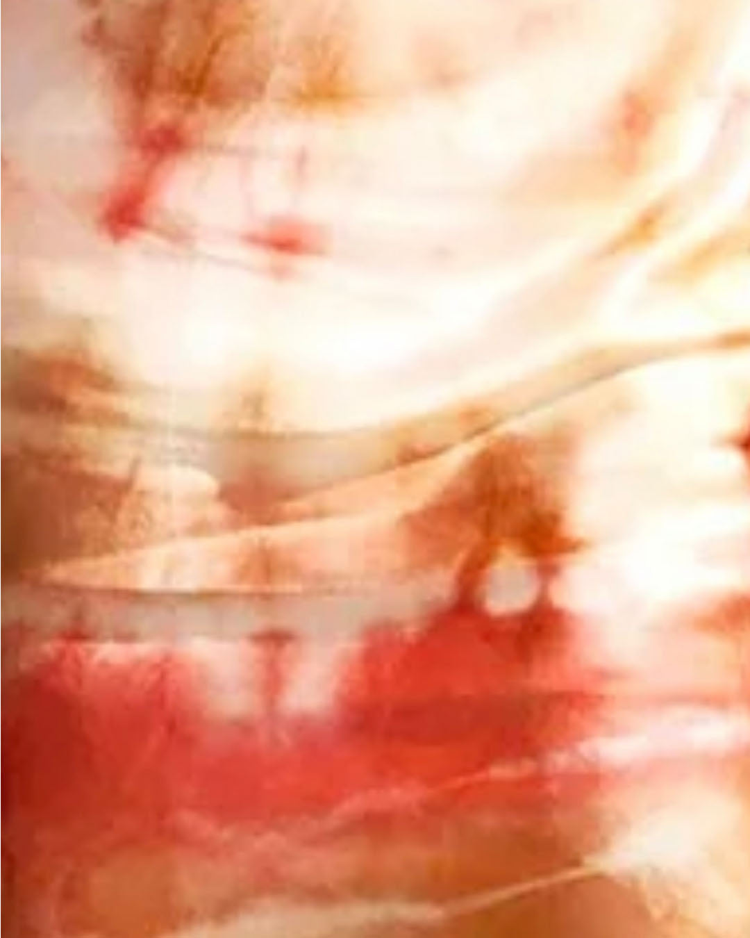 The Lindbergh Silk Dress in Coral Watercolour Print
