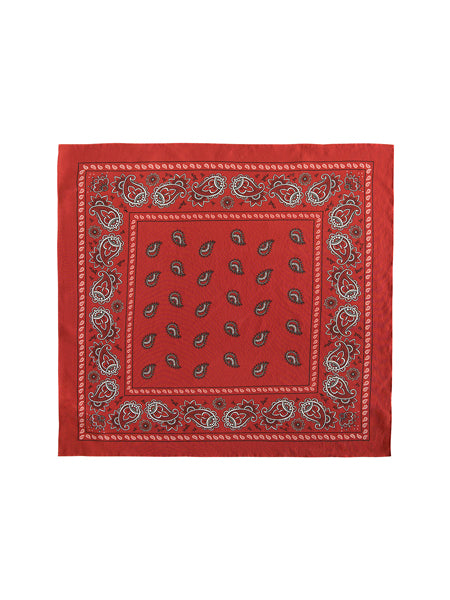 Sweet Baby Silk Scarf